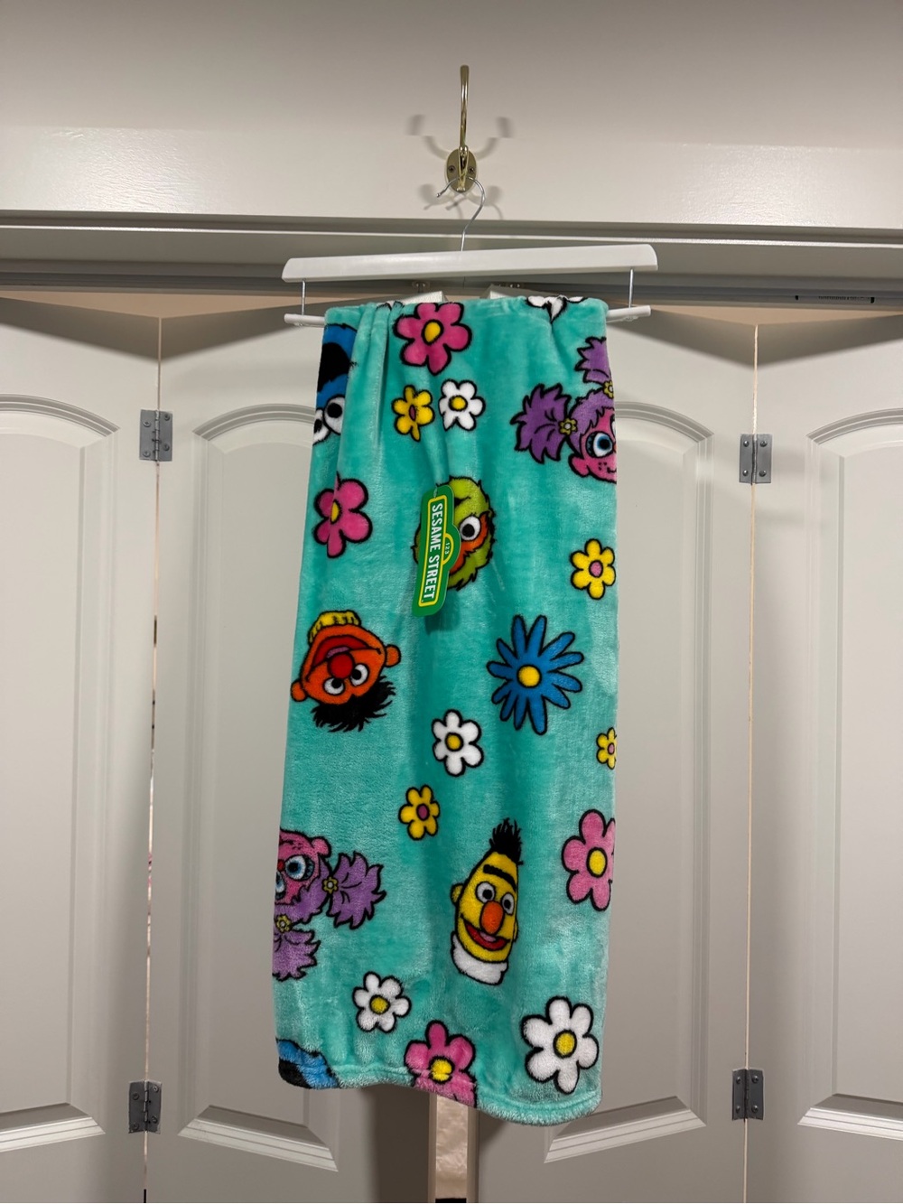 SESAME STREET 50”x60” Blanket — Floral, Characters — NWT